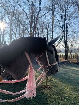 Prodám HOBBY HORSE - 2