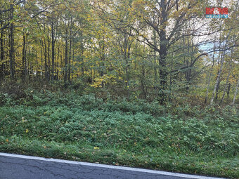 Prodej louky, 4228 m², Mikulovice - 2