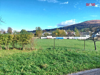 Prodej pole, 1500 m², Zlaté Hory - 2