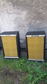 PRODAM 2.ks kytar.repro.2x80w ze 70let Delicia. Bass. - 2