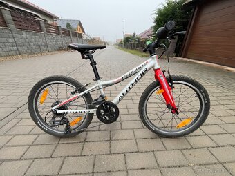 Author Record 20 - 2