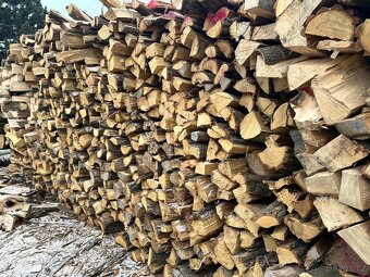 Dřevo na uzení třešeň, dub,akat,habr - 2