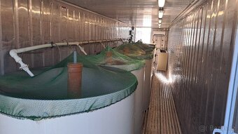 Kontejner - chov ryb - 2