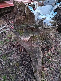 Kořeny - 2