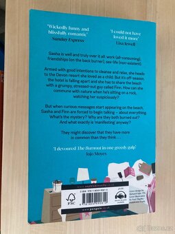The Burnout by Sophie Kinsella - 2