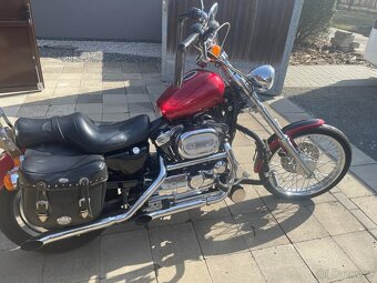 Harley Davidson Sportster XL 1200T Super Low - 2