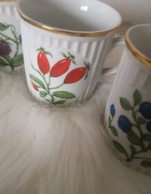 Sada 5 hrnků s motivy ovoce - retro - 2