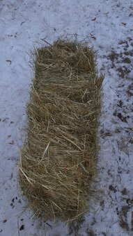 Seno malé balíky - 2