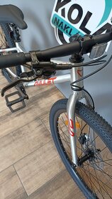 Amulet 24 Youngster SH 2024 alu brushed transparent/red - 2