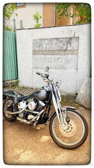 Prodám Harley Davidson Springer Evo 1999 - 2