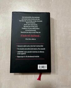 Kniha Chlap snů - 2