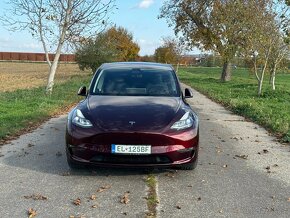 Tesla Model Y 75kWh Performance AWD - 2