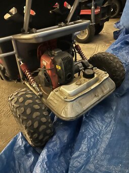 dětská buggyna do 50kg - 2