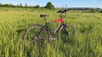 Rock Machine Crossride 350 - 2