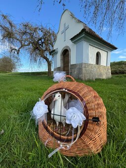 Svatební holoubci, okres Domažlice - 2