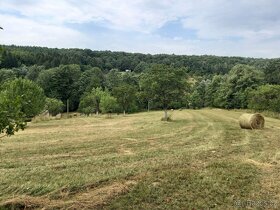 Prodej zemědělské usedlosti 305 m², pozemek 21 000 m² - 2