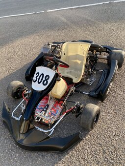 Motokára Rotax 125 senior EVO - 2