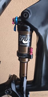 Specialized Stumpjumper Evo carbon - 2