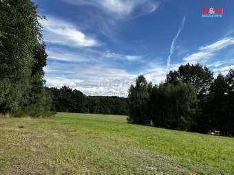 Prodej louky, 7691 m², Petrovice u Karviné - 2