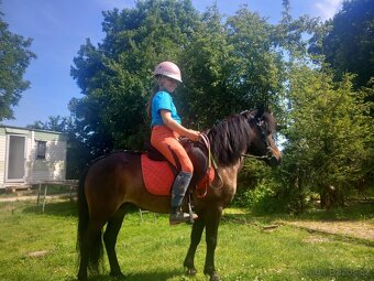 Pony kobylka - 2