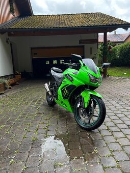 Ninja Kawasaki 250R - 2