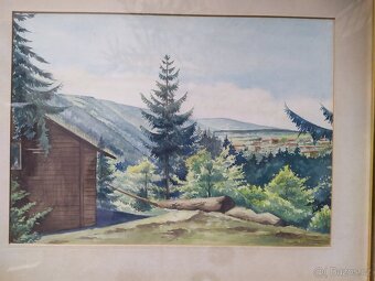 Obraz Akvarelová malba 55×45cm. signová - 2