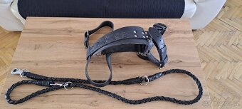 Kožený nastavitelný postroj + vodítko 2m - 2