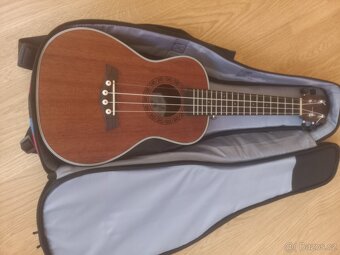 Koncertní ukulele - 2