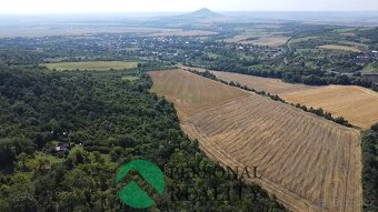 Prodej sady a vinice, 4 280 m2 - Třebenice, ev.č. 01563 - 2