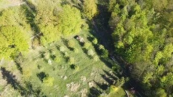 Prodej zahrady 3670m2 nedaleko Litoměřic - 2