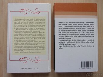L. Lanczová - KRÁLOVSTVÍ ZA BOTU, TŘINÁCTÁ KOMNATA - 2