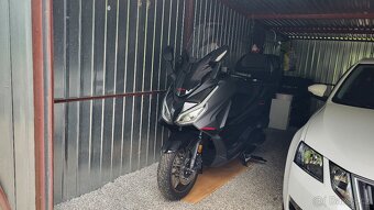 Honda Forza 125 / 2025 Special edition - 2