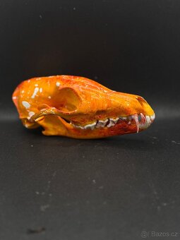 Lebka, dekorace, pohanství, - 2