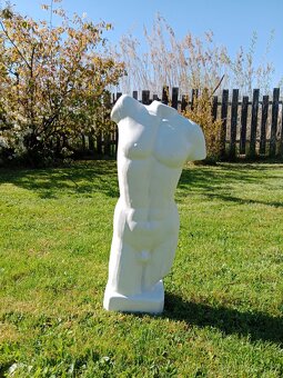 Torzo mužského těla 50 cm - 2