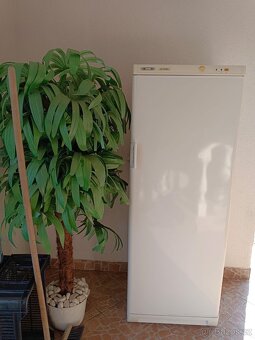 Starší mrazák zanusi - 2