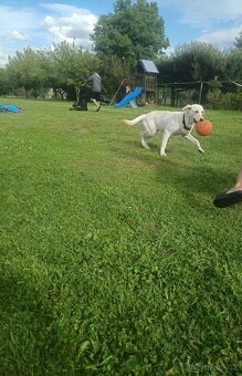 Daruji do drobných rukou - 2