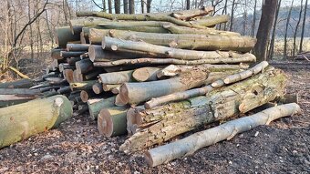 PALIVOVÉ DŘEVO - 2