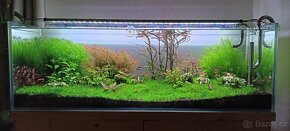 Akvarium Optiwhite, aquascaping - cca 200 l - 2