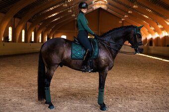 Podsedlova decka Equestrian Stockholm Sycamore Green - 2