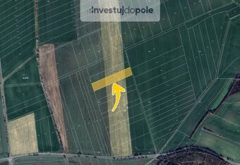 Prodej pole v k.ú. Cerhýnky - 2