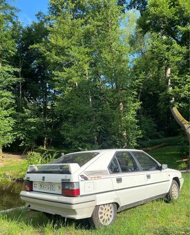 Citroen BX 14RE VISION - 2