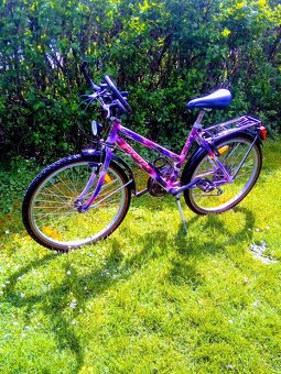 Frera 24" - 2