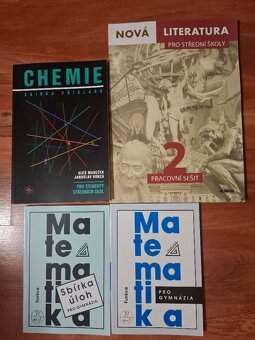 Nová literatura pro střední školy - 2 - pracovní sešit - 2