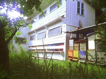 Včelí oddělky 2026 - 2