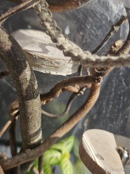 Dekorace do terárií - 2