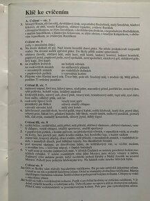 Pravopis přídavných jmen - 2