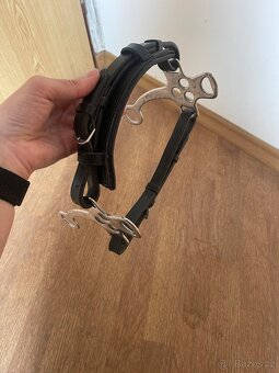 Hackamore - 2