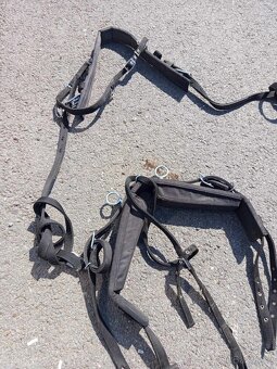 Postroj na pony kolem 100 kvh - 2