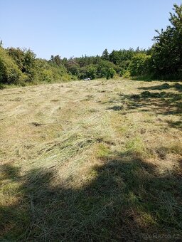 Zahrada u Loun, v obci Brodec, krásné okolí - 2