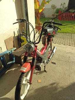 Manet Korado - 2